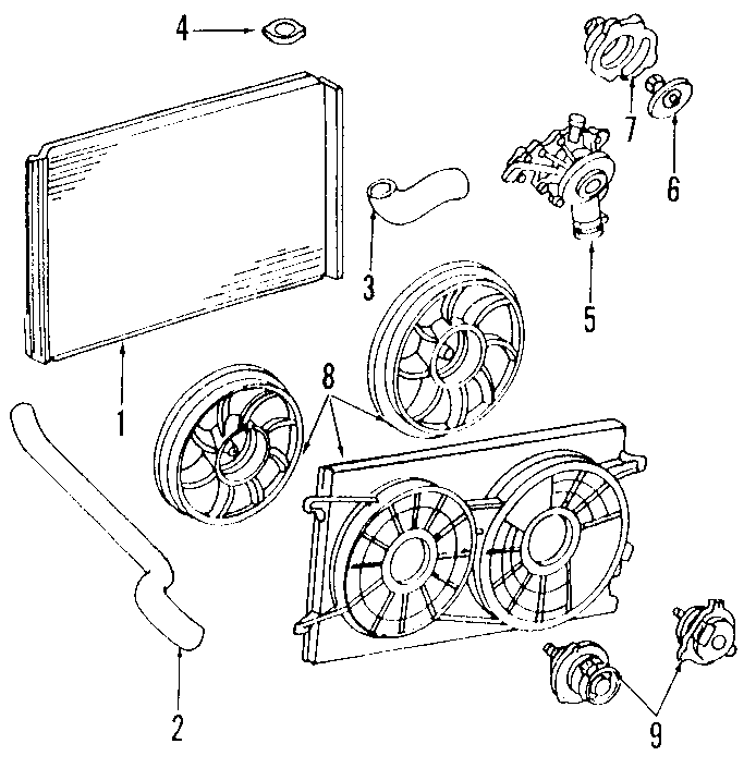 Ford Windstar Hose. Radiator. 3.8 liter. 3.9 liter. 4.2 liter. Freestar